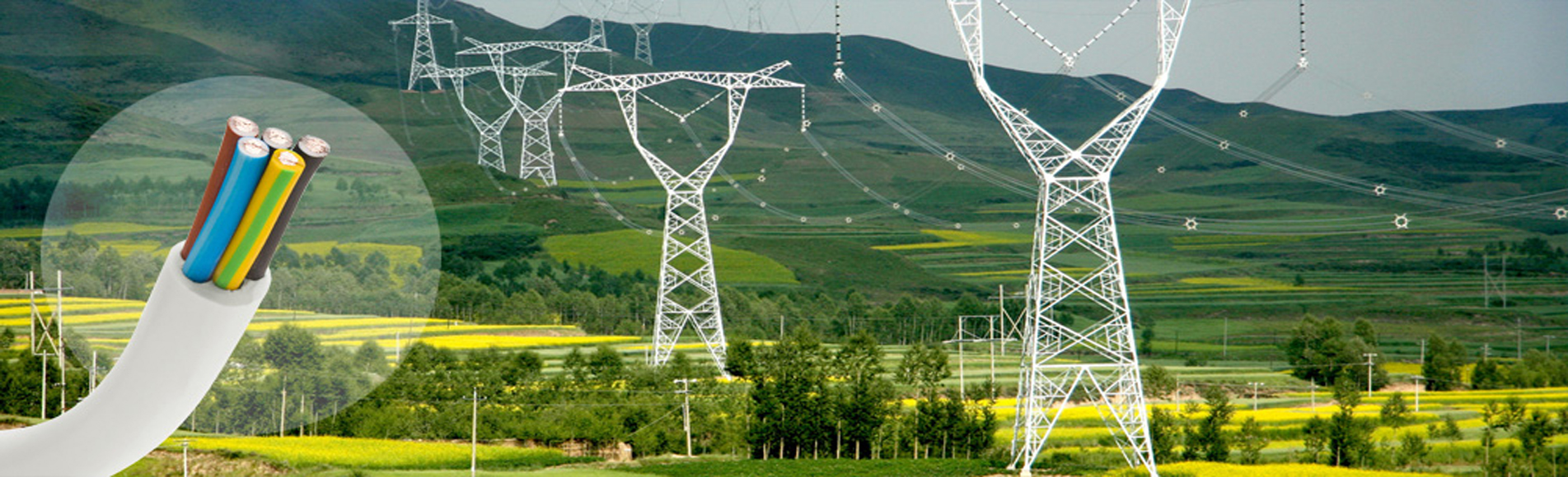 安徽電纜優(yōu)秀品牌，綠寶電纜，廠(chǎng)家直銷(xiāo), 0551-64203668